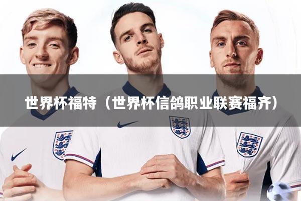 世界杯福特(世界杯信鸽职业联赛福齐)