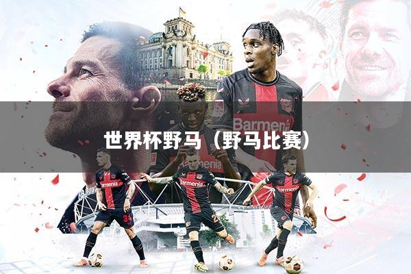 世界杯野马（野马比赛）