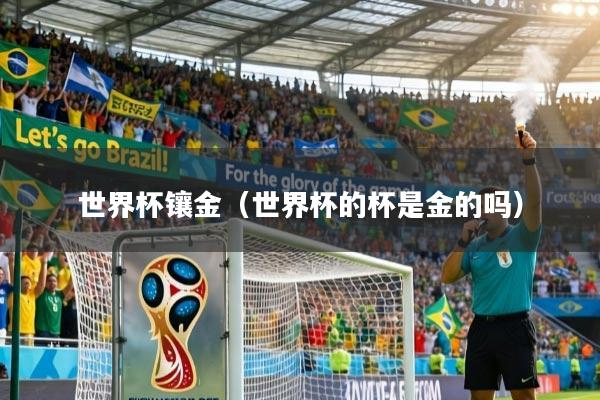 世界杯镶金（世界杯的杯是金的吗）