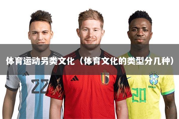 体育运动另类文化（体育文化的类型分几种）
