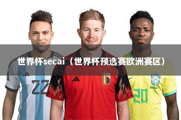 世界杯secai（世界杯预选赛欧洲赛区）