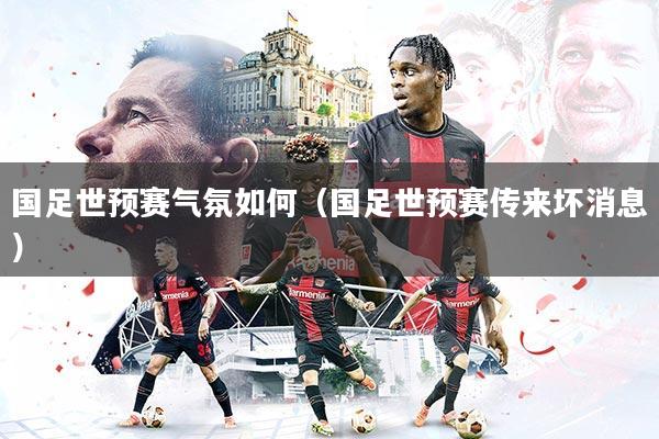 详细阅读:国足世预赛气氛如何(国足世预赛传来坏消息) 国足世预赛气氛如何(国足世预赛传来坏消息)