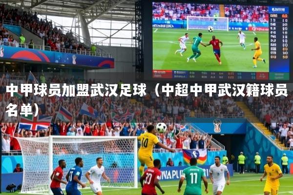 中甲球员加盟武汉足球（中超中甲武汉籍球员名单）